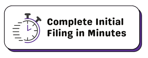 complete the beneficial ownership information filing in minutes